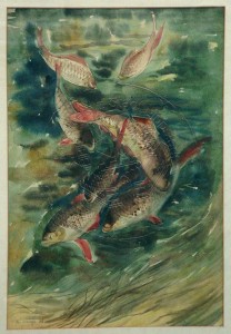 Höings , Friedrich KS 307 1908 Lippstadt - 1978 Fische Grafik, Aquarell 1936 47x32 68x53 sieben Fische in Gewässer von oben, Darst.47x32cm Tier 
